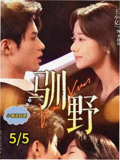 第13话结局巡游档案图
